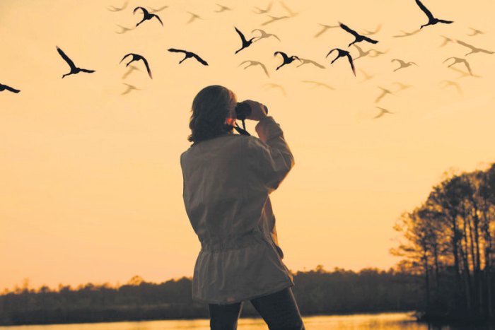 Birdwatching vacations